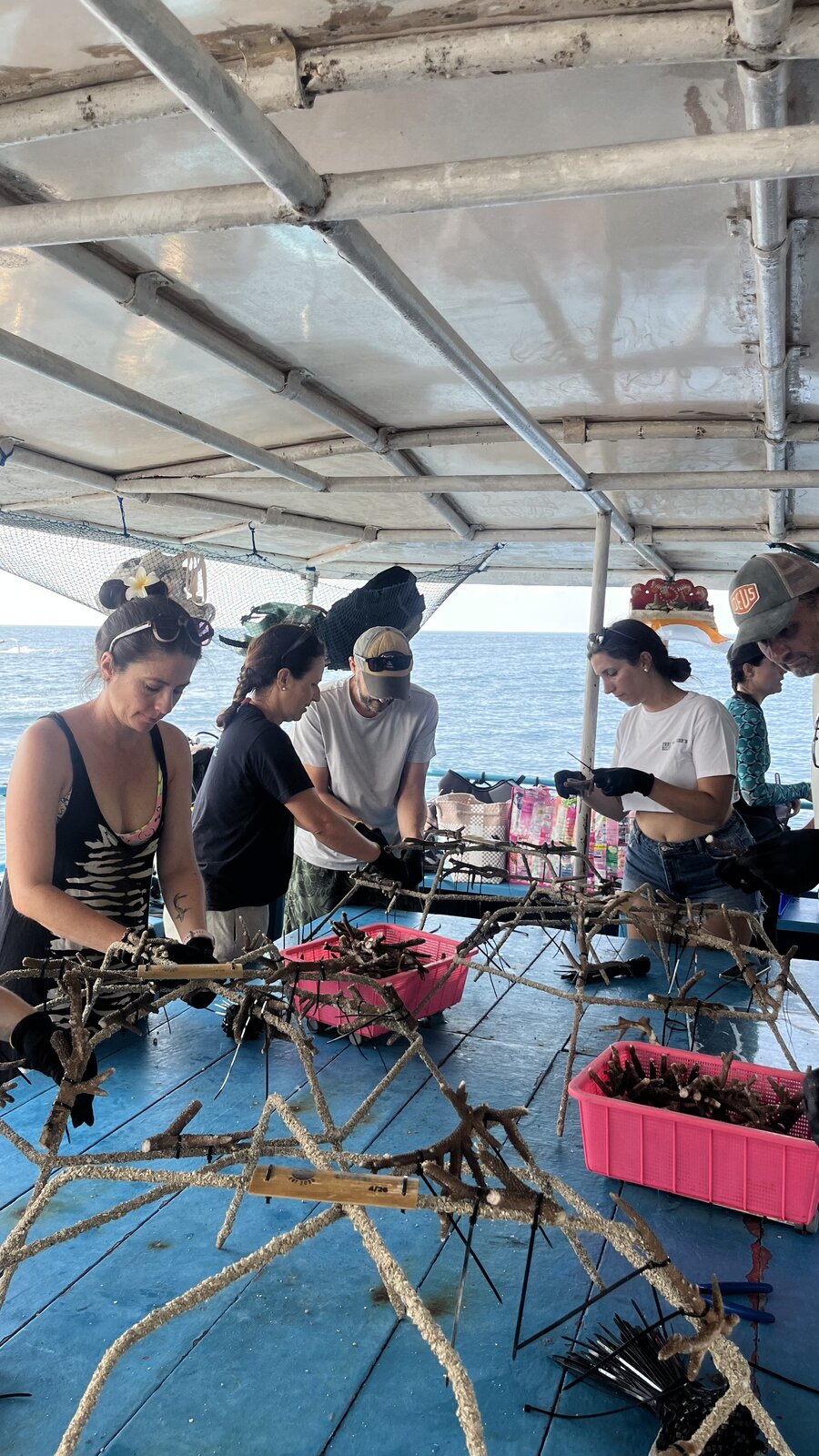 Participants préparant les fragments de coraux sur les structures Reef Stars à bord du bateau