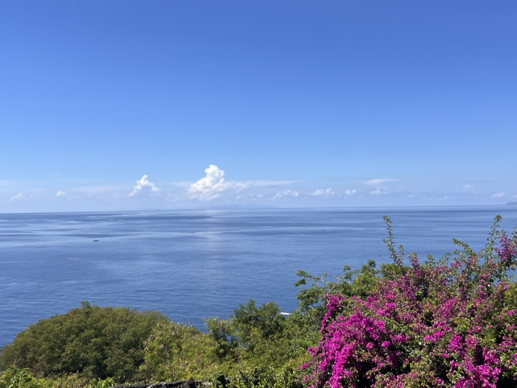 Vue panoramique sur l'océan depuis Bali avec bougainvilliers en fleurs